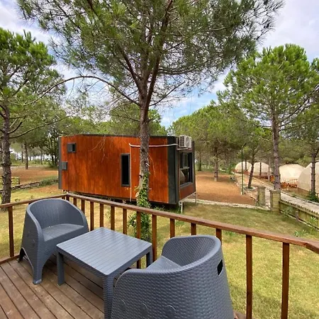 Hotel Golifehouses